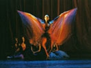 “Alice nel paese delle meraviglie” (cor. Olivier Chanut) 2003