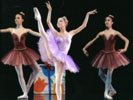 “La Boutique Fantasque” (cor. Olivier Chanut) 2005